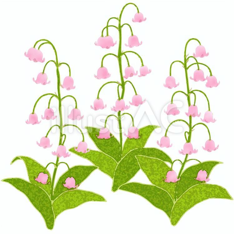 並んで咲くピンク色のすずらんイラスト No 無料イラストなら イラストac