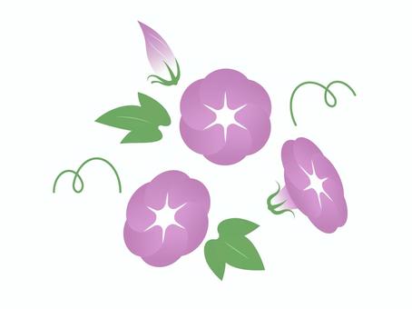 朝顔のイラスト素材04