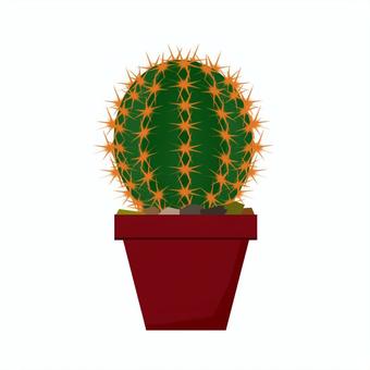 サボテン サボテン,棘,被子植物,多肉植物,観葉植物のイラスト素材