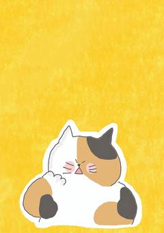 びっくりする三毛猫ちゃん びっくりする三毛猫ちゃん かわいい,びっくり,衝撃,驚く,気づく,発見,見つける,ねこ,三毛猫,どうぶつのイラスト素材