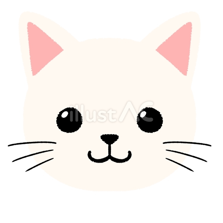 シンプルな手描きの白猫 白猫,猫,動物のイラスト素材
