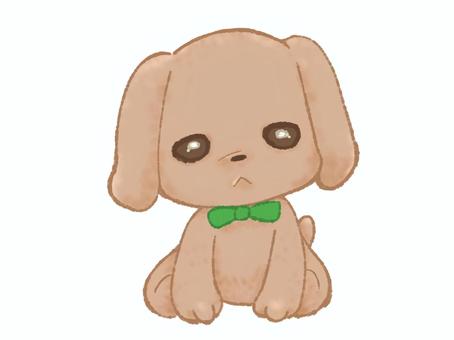 犬のぬいぐるみ 犬,ぬいぐるみ,トイプードル,仔犬,人形,おもちゃ,座る,リボン,ふわふわ,モフモフのイラスト素材