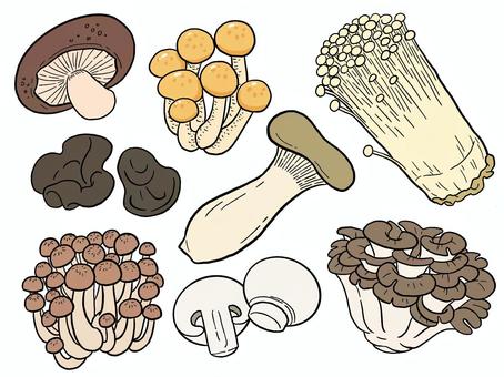 Mushroom set, mushroom, vegetables, ellinghi, JPG, PNG and AI