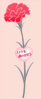 Carnation ~Thank you for everything~ (red), JPG and PNG Carnation ~Thank you for everything~ (red), carnation, mother's day, flour, JPG and PNG