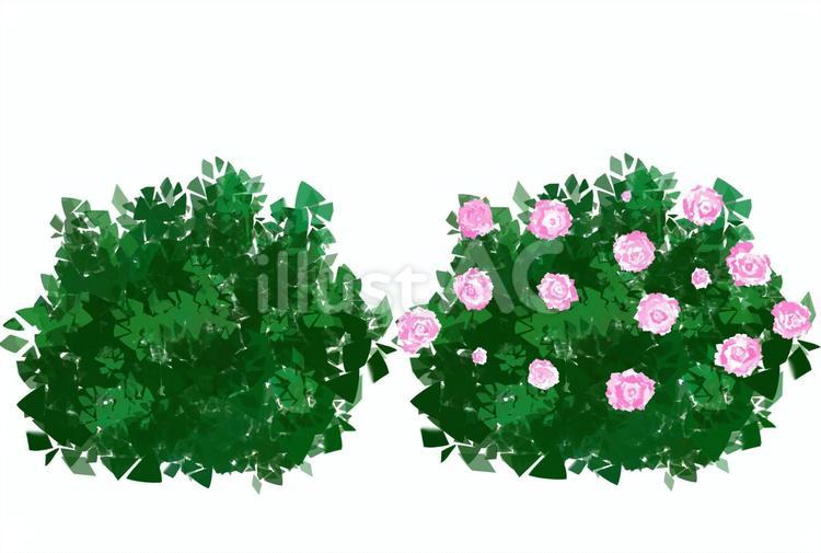 花や木のガーデニングや街路樹の素材セット 花,薔薇,セットのイラスト素材