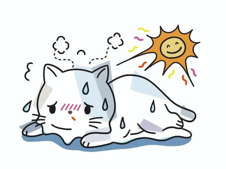 夏の暑さに汗が止まらないネコ 夏ばて,夏バテ,太陽,ネコ,猫,夏,酷暑,溶ける,夏休み,暑いのイラスト素材
