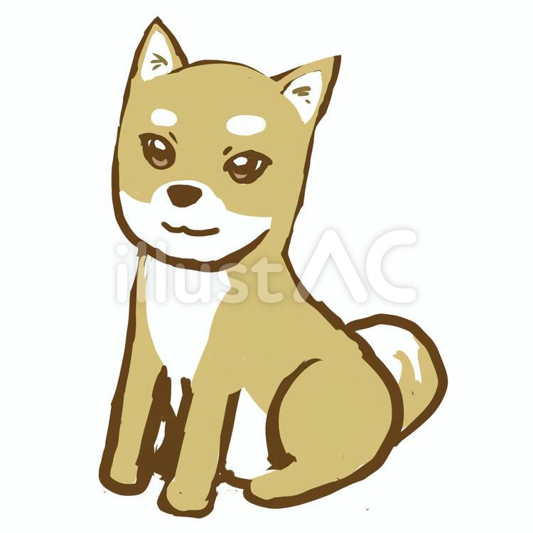 柴犬４（体つき） 柴犬,犬,日本犬のイラスト素材