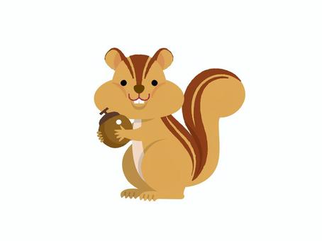リス　ほおばるリス リス,どんぐり,動物,森,山,ペット,齧歯類,かわいい,イラスト,ベクターのイラスト素材