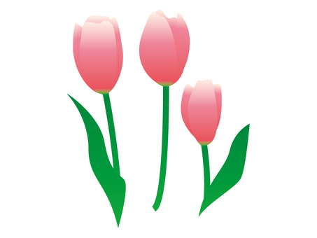 花, JPG 花, 多種, 植物, 可愛的, JPG