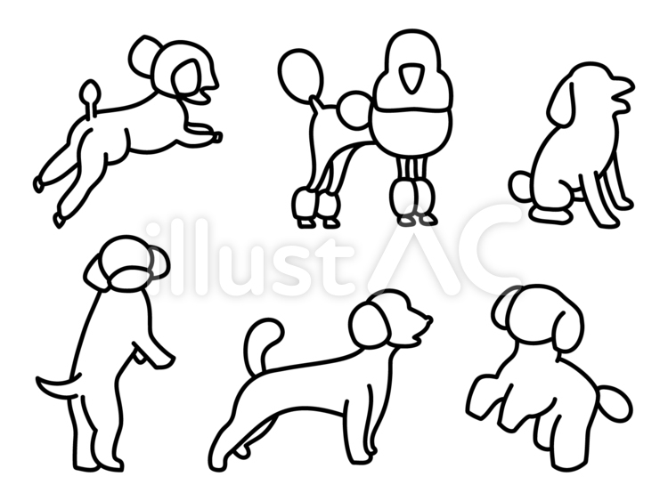 トイプードル／線画／塗り絵／モノクロ トイプードル,犬,小型犬のイラスト素材