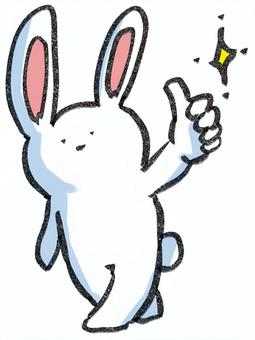 good rabbit, rabbit, good, sam's up, JPG and PNG