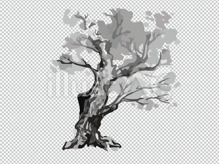 水墨画_Tree 水墨画,挿し絵,くすのきのイラスト素材
