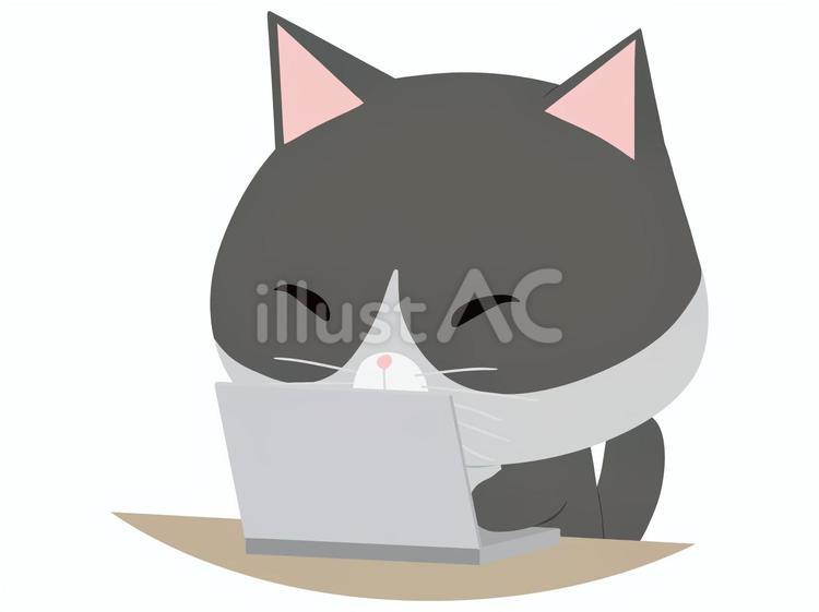 PCを操作するはちわれ猫 ノートパソコン,猫,はちわれのイラスト素材