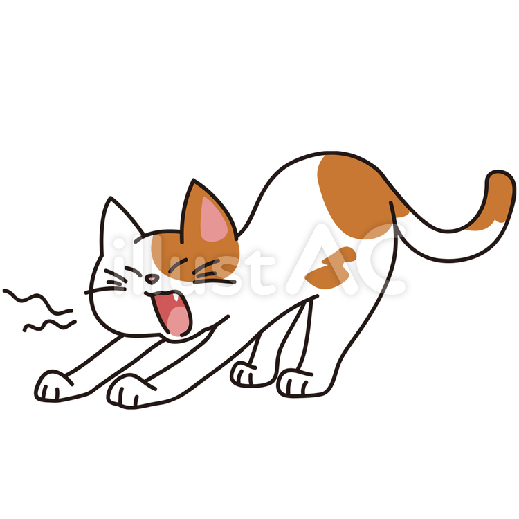 あくびをする猫 猫,ネコ,ねこのイラスト素材