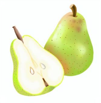 洋梨のイラスト　丸ごととカット 洋梨,カット,半分,くだもの,食べ物,フルーツ,果実,新鮮,八百屋,農産物のイラスト素材