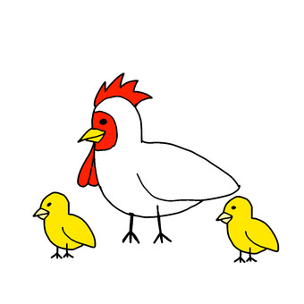 ニワトリとひよこ ニワトリ,鶏,ひよこ,鳥,家畜のイラスト素材