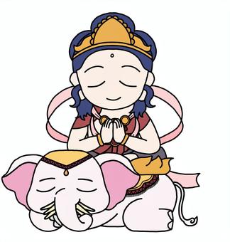 普賢菩薩　合掌 普賢菩薩,菩薩,仏教,宗教,仏,仏様,釈迦三尊,合掌,象,白象のイラスト素材