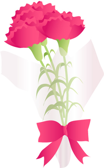 Carnation bouquet, carnation, flower, red, JPG, PNG and AI