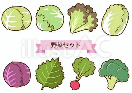 野菜セット4