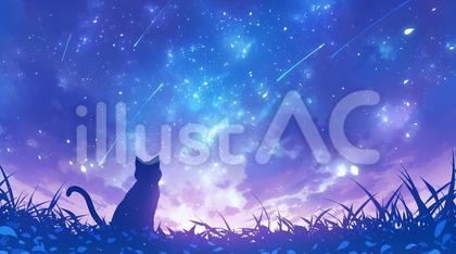 夜空を見つめる猫2