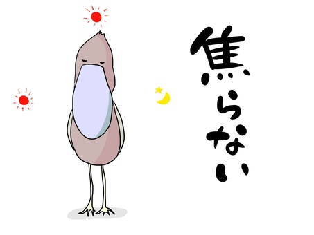 ハシビロコウ(文字あり) ハシビロコウ(文字あり) ハシビロコウ,鳥,マイペース,狩り,焦らないのイラスト素材