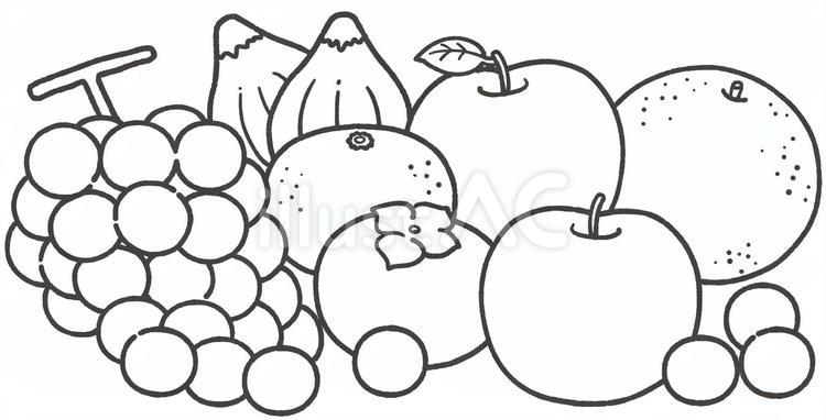 秋の果物の白黒手描きイラスト 秋,果物,手描きのイラスト素材