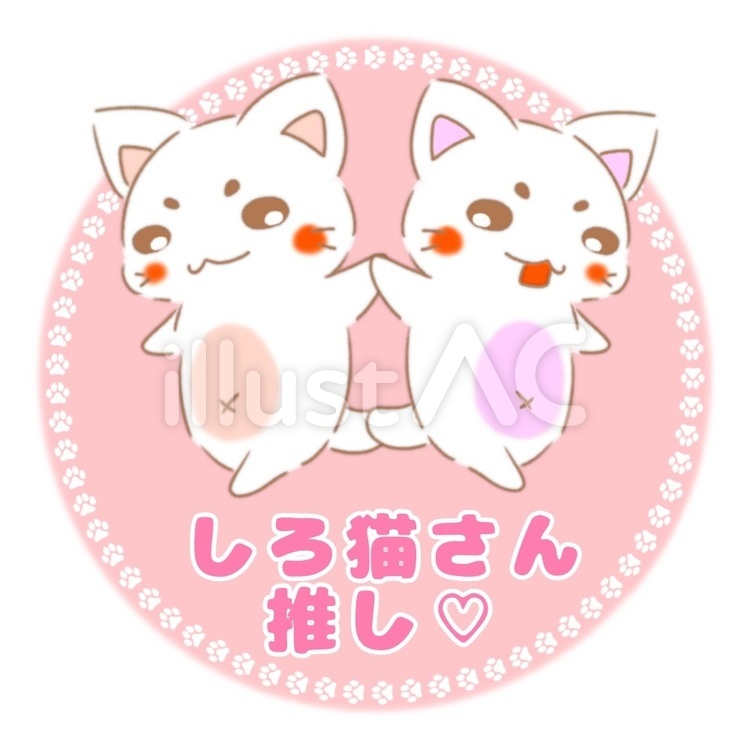 まろねこさん　推しアイコン　白猫 猫,ねこ,白猫のイラスト素材
