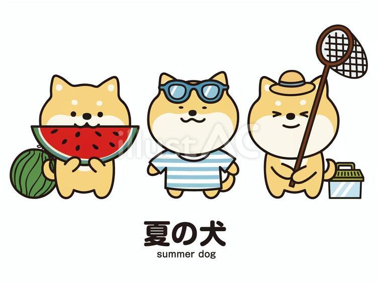夏の犬 犬,柴犬,豆柴のイラスト素材