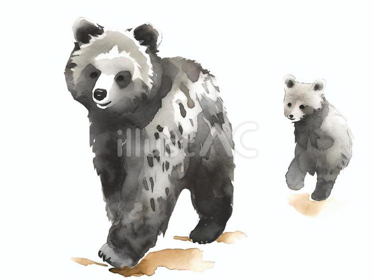 黒いクマ親子 熊,子連れ,母親のイラスト素材