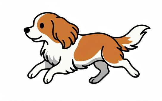 キャバリア キャバリア,中型犬,走る,尻尾,茶色のイラスト素材