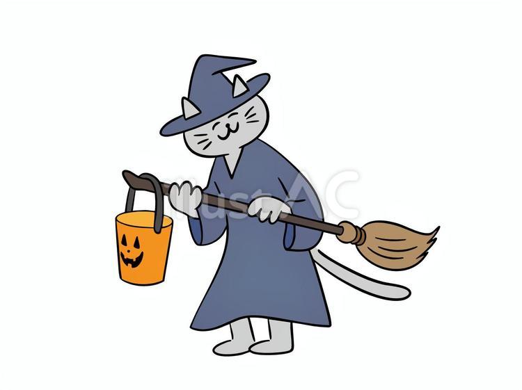 魔女の仮装をする猫（カラー） 猫,魔女,魔法使いのイラスト素材