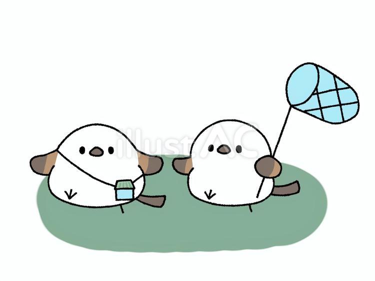虫取りに出かけるシマエナガさん 動物,ゆるふわ,ゆるいのイラスト素材