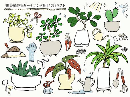 観葉植物とガーデニング用品のイラスト 観葉植物,植物,園芸,園芸用品,ガーデニング,ガーデニング用品,ハサミ,手袋,石,スコップのイラスト素材