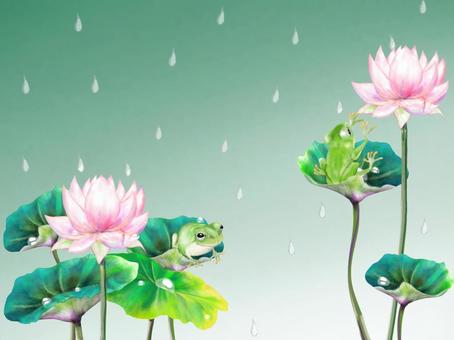 Lotus pond and frog postcard rain, lotus, flower, rainy season, JPG and PNG