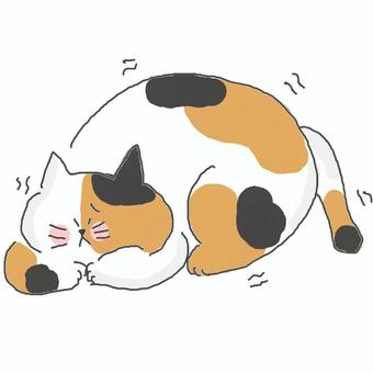 怖がる三毛猫ちゃん 三毛猫,かわいい,怖い,恐怖,警戒,震える,寒い,凍える,不安,心細いのイラスト素材