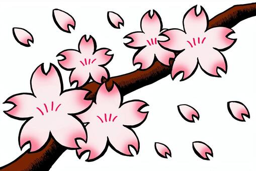 桜1 桜1 桜,さくら,サクラのイラスト素材