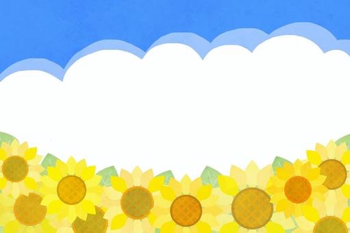 Sunflowers and summer sky, sunflower, summer, sunflower, JPG and PNG