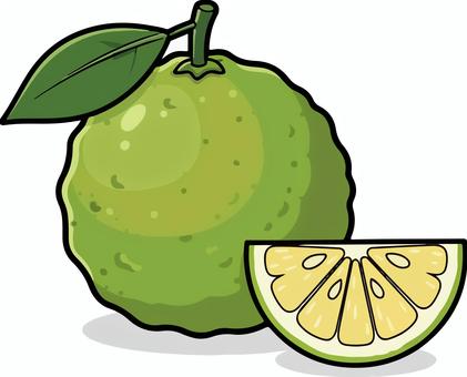 カボス カボス,柑橘,緑,薬味,果物,フレッシュ,ビタミン,ベクターのイラスト素材