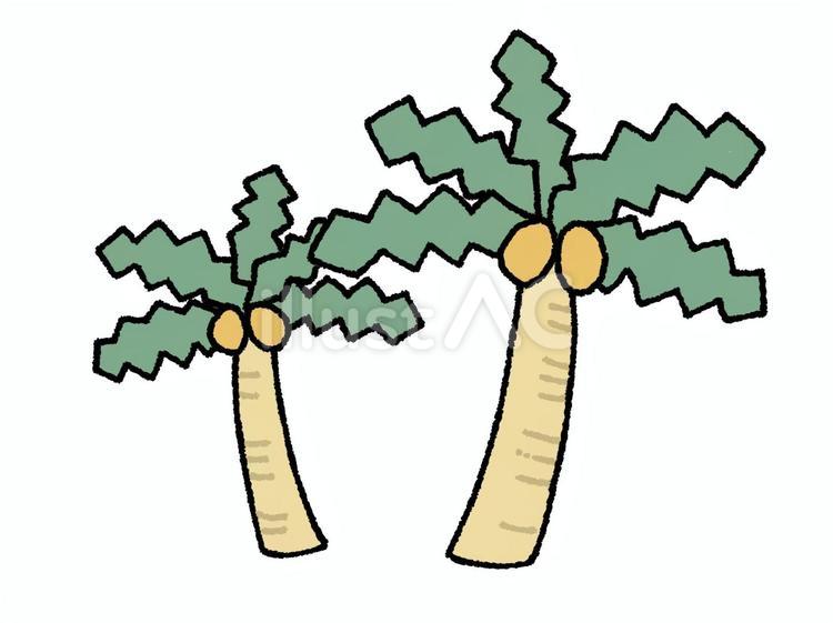 ヤシの木 椰子,木,ゆるふわのイラスト素材