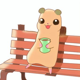 Hamster resting on the bench, JPG Hamster resting on the bench, hamster, bench, break, JPG