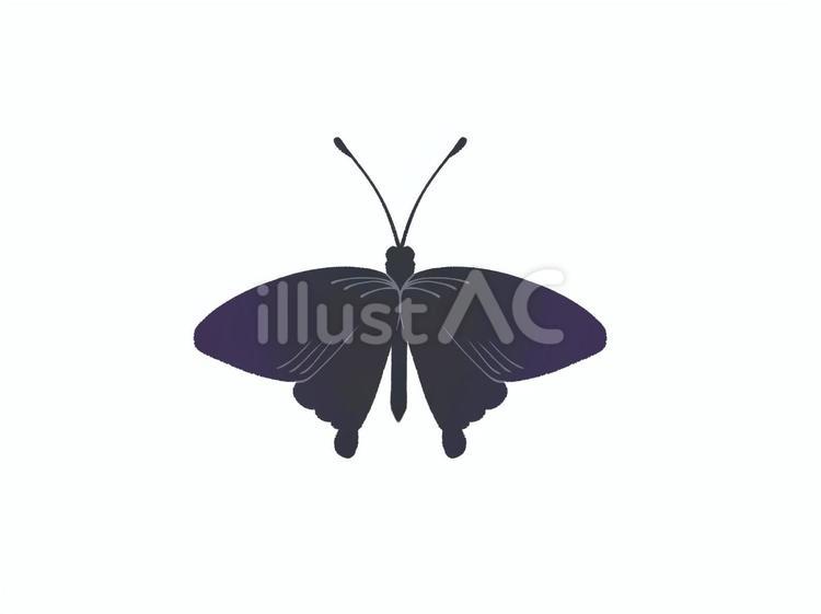 黒アゲハ蝶 アゲハ蝶,蝶,虫のイラスト素材