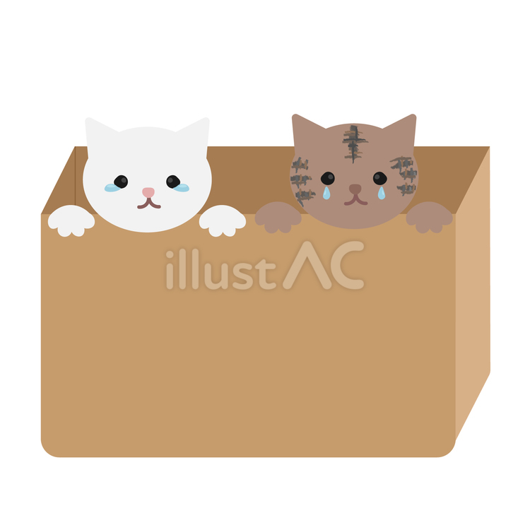 捨て猫 保護猫,動物,捨てるのイラスト素材