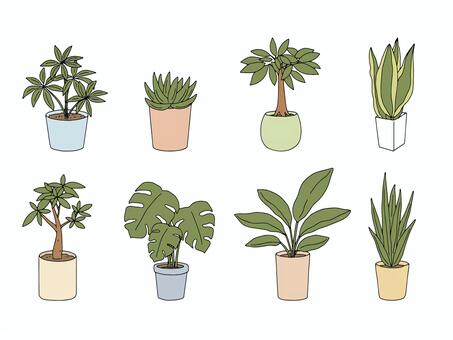 観葉植物　手書きイラストセット 緑,おしゃれ,自然,植物,葉,生活,観葉植物,植木鉢,インテリア,鉢のイラスト素材