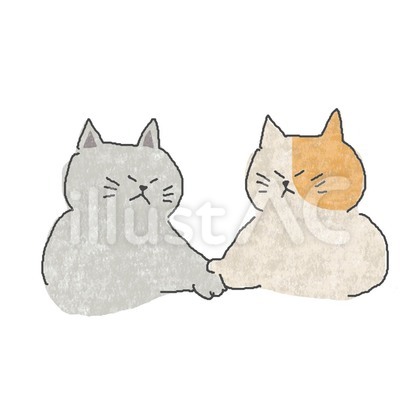 握手するねこちゃん♪
