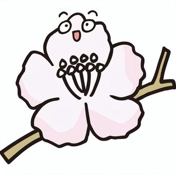 アンズ かわいい,コミカル,マンガチック,ユーモラス,花,植物,アンズのイラスト素材