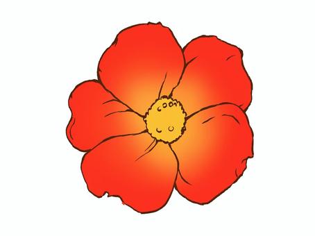 ポーチュラカ（赤） ポーチュラカ,花,夏の花,多肉植物,可愛い,赤,ガーデニング,植物,イラスト素材,手描きのイラスト素材