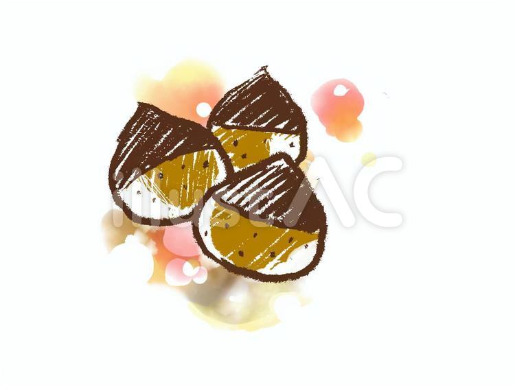 栗 栗,秋,食べ物のイラスト素材