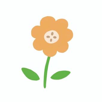 オレンジ色の花