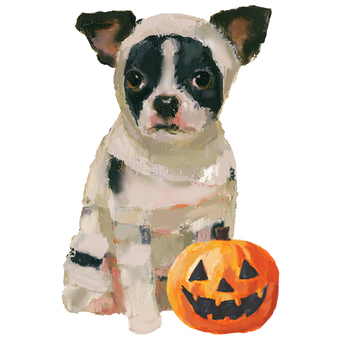 ミイラのコスプレ犬 ハロウィン ハロウィン,犬,動物,生き物,ペット,ミイラ,包帯,コスプレ,仮装,変装のイラスト素材