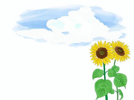 Sunflower and summer sky, JPG and PNG Sunflower and summer sky, sunflower, summer, yellow, JPG and PNG